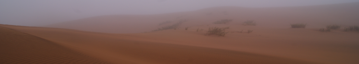 example of fog in the namib desert