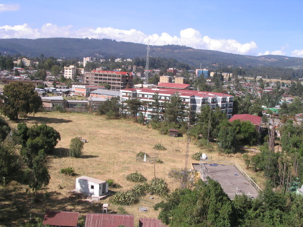 Thesis and dissertation addis ababa university