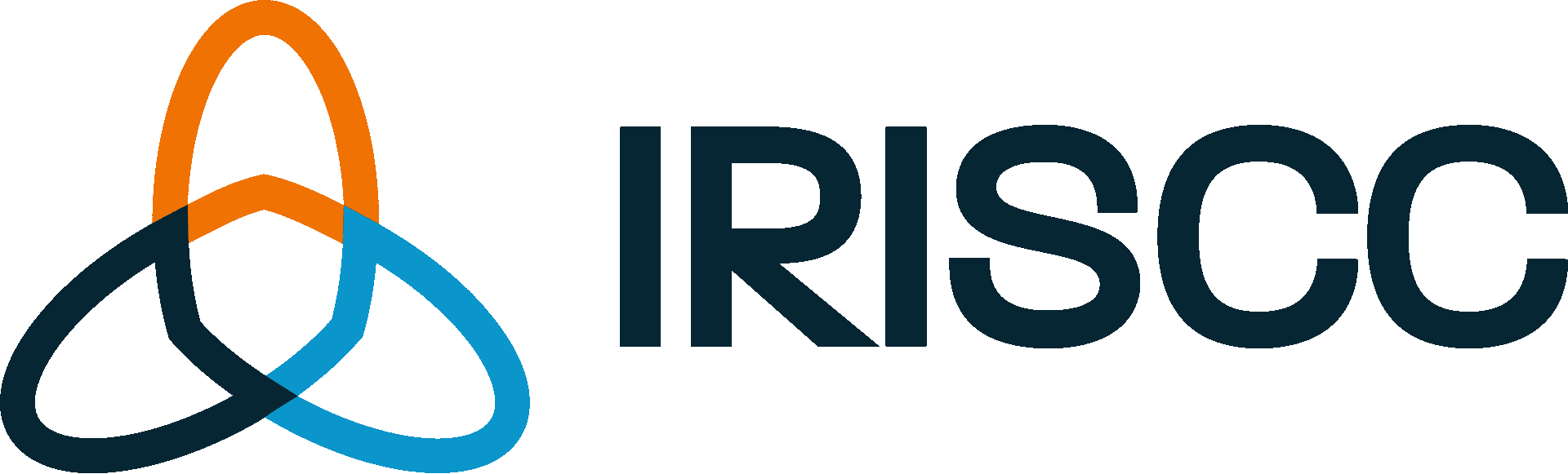 IRISCC Logo