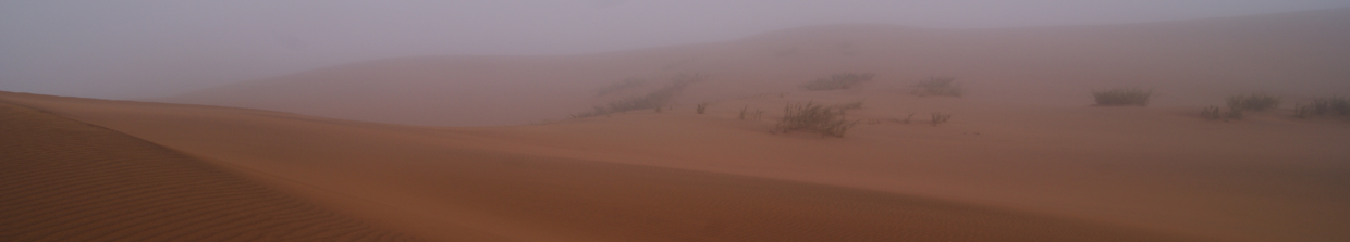 NaFoLiCa Fog and low clouds IMK-ASF