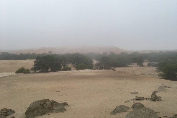example of fog in the namib desert